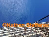 IMG 7719